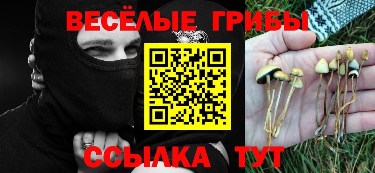 Вязьма  как найти закладки  Вход с VPN  Галлюциногенные грибы ЛСД 